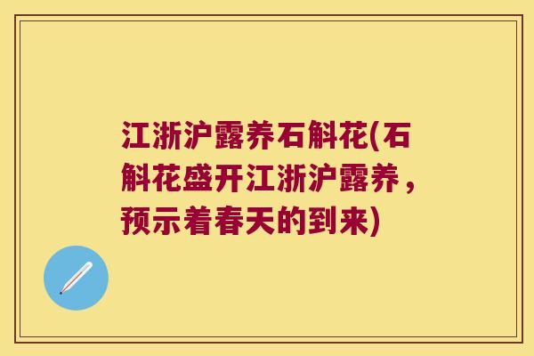 江浙沪露养石斛花(石斛花盛开江浙沪露养，预示着春天的到来)