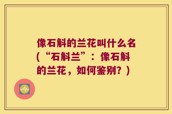 像石斛的兰花叫什么名(“石斛兰”：像石斛的兰花，如何鉴别？)