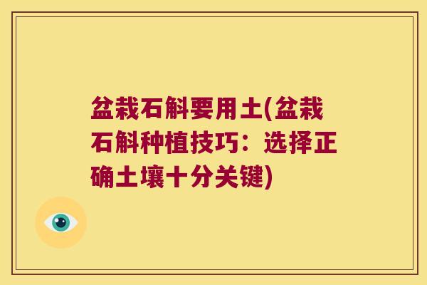 盆栽石斛要用土(盆栽石斛种植技巧：选择正确土壤十分关键)