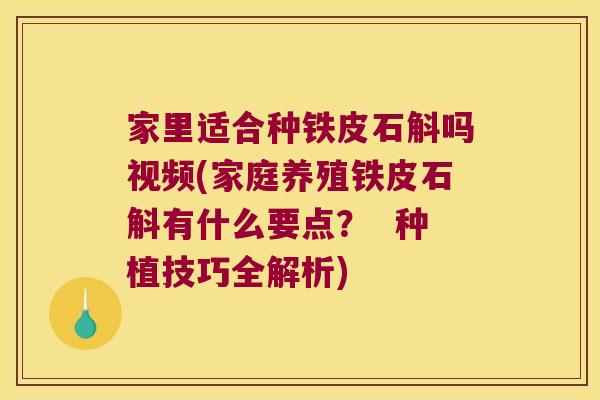 家里适合种铁皮石斛吗视频(家庭养殖铁皮石斛有什么要点？  种植技巧全解析)