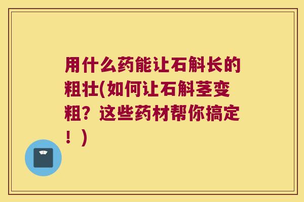 用什么药能让石斛长的粗壮(如何让石斛茎变粗？这些药材帮你搞定！)