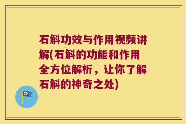 石斛功效与作用视频讲解(石斛的功能和作用全方位解析，让你了解石斛的神奇之处)