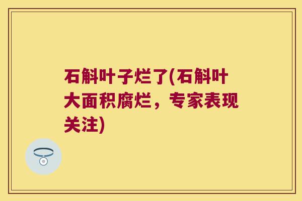 石斛叶子烂了(石斛叶大面积腐烂，专家表现关注)