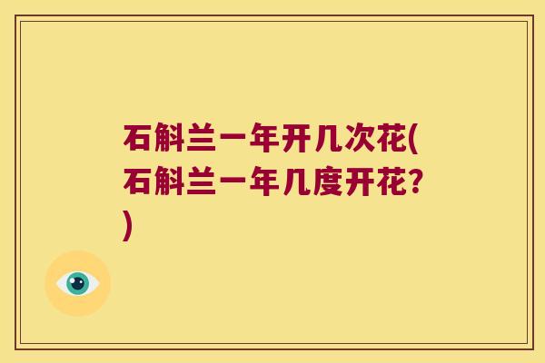 石斛兰一年开几次花(石斛兰一年几度开花？)
