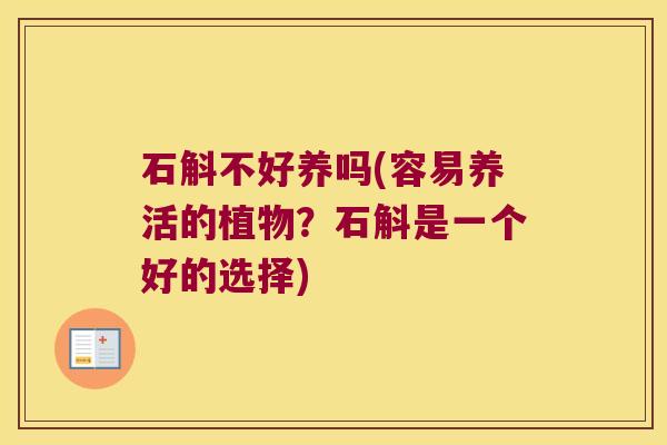石斛不好养吗(容易养活的植物？石斛是一个好的选择)