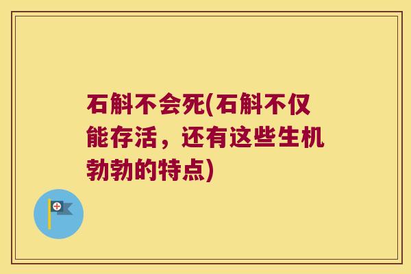 石斛不会死(石斛不仅能存活，还有这些生机勃勃的特点)
