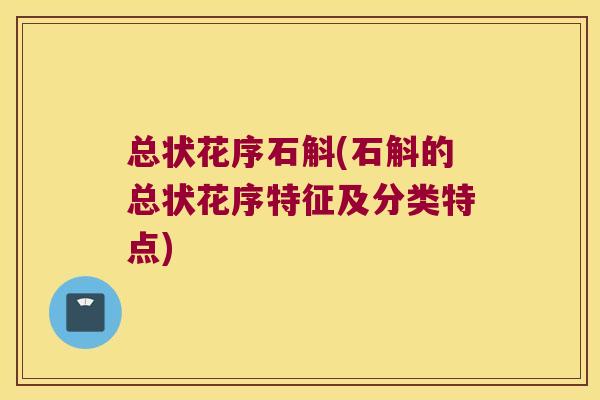 总状花序石斛(石斛的总状花序特征及分类特点)
