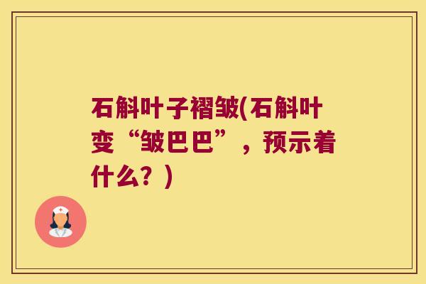 石斛叶子褶皱(石斛叶变“皱巴巴”，预示着什么？)