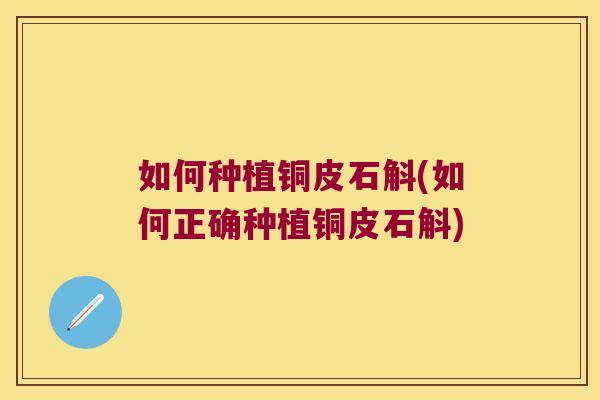 如何种植铜皮石斛(如何正确种植铜皮石斛)