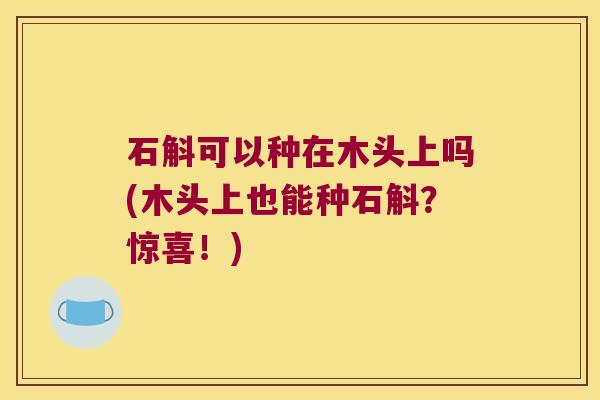 石斛可以种在木头上吗(木头上也能种石斛？惊喜！)