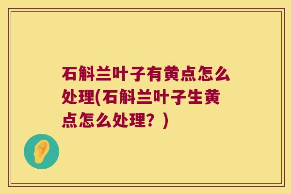 石斛兰叶子有黄点怎么处理(石斛兰叶子生黄点怎么处理？)