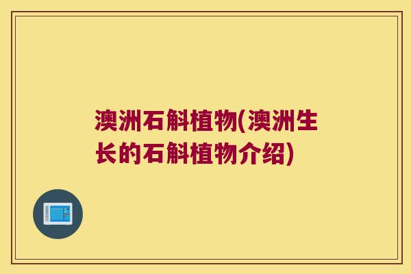 澳洲石斛植物(澳洲生长的石斛植物介绍)