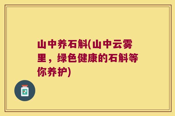 山中养石斛(山中云雾里，绿色健康的石斛等你养护)