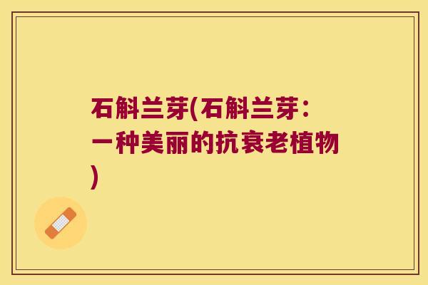 石斛兰芽(石斛兰芽：一种美丽的抗植物)