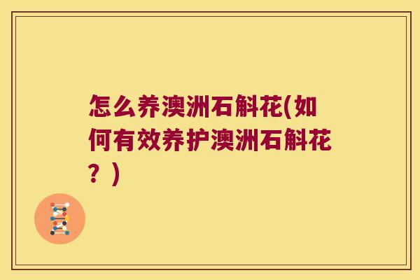 怎么养澳洲石斛花(如何有效养护澳洲石斛花？)