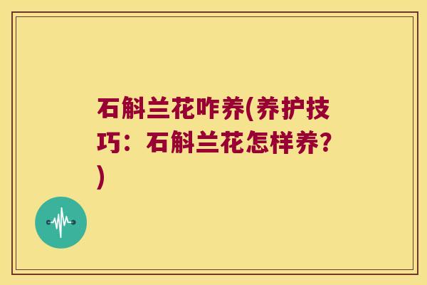 石斛兰花咋养(养护技巧：石斛兰花怎样养？)