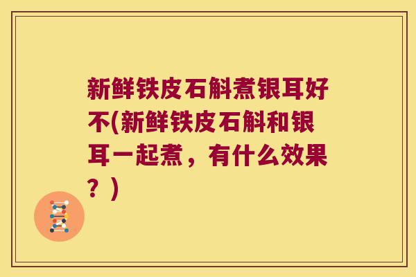 新鲜铁皮石斛煮银耳好不(新鲜铁皮石斛和银耳一起煮，有什么效果？)