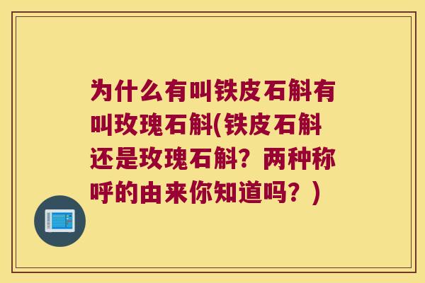 为什么有叫铁皮石斛有叫玫瑰石斛(铁皮石斛还是玫瑰石斛？两种称呼的由来你知道吗？)