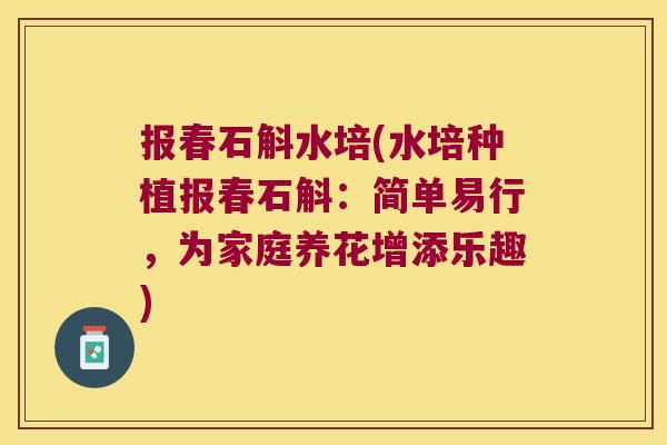 报春石斛水培(水培种植报春石斛：简单易行，为家庭养花增添乐趣)