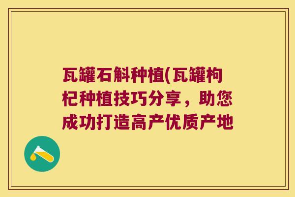 瓦罐石斛种植(瓦罐枸杞种植技巧分享，助您成功打造高产优质产地