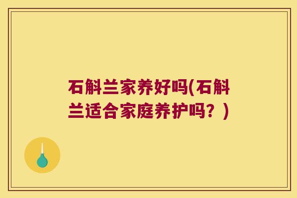 石斛兰家养好吗(石斛兰适合家庭养护吗？)