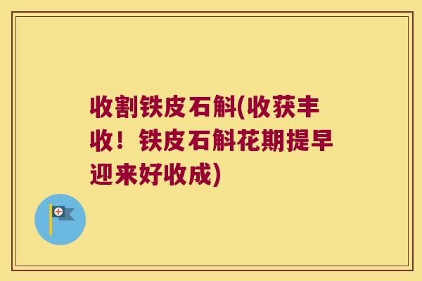 收割铁皮石斛(收获丰收！铁皮石斛花期提早迎来好收成)