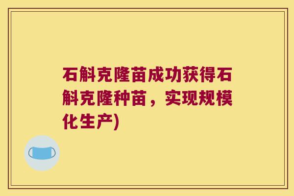 石斛克隆苗成功获得石斛克隆种苗，实现规模化生产)