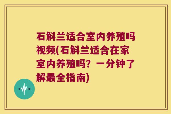 石斛兰适合室内养殖吗视频(石斛兰适合在家室内养殖吗？一分钟了解最全指南)