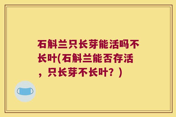 石斛兰只长芽能活吗不长叶(石斛兰能否存活，只长芽不长叶？)