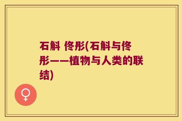 石斛 佟彤(石斛与佟彤——植物与人类的联结)