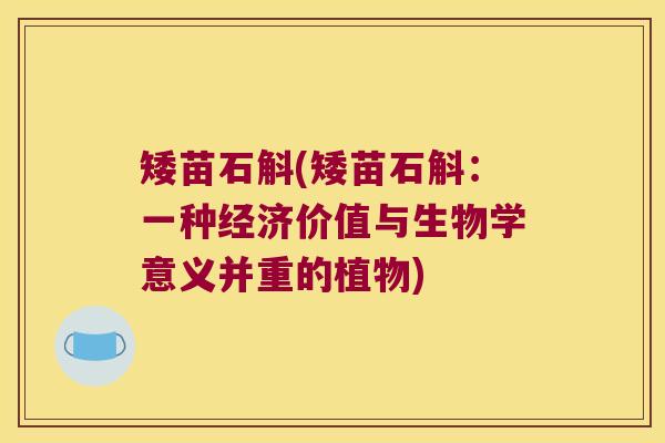 矮苗石斛(矮苗石斛：一种经济价值与生物学意义并重的植物)