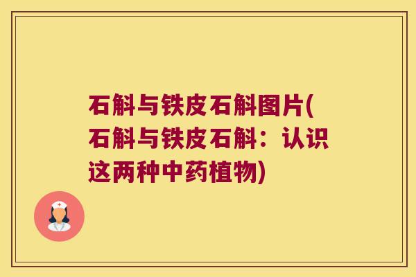 石斛与铁皮石斛图片(石斛与铁皮石斛：认识这两种植物)