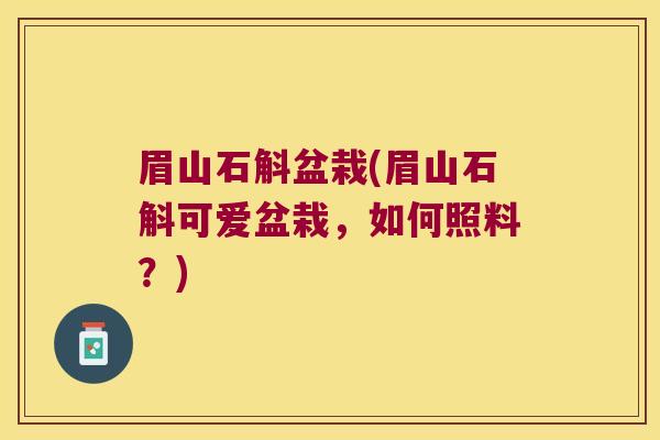 眉山石斛盆栽(眉山石斛可爱盆栽，如何照料？)