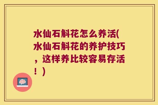 水仙石斛花怎么养活(水仙石斛花的养护技巧，这样养比较容易存活！)