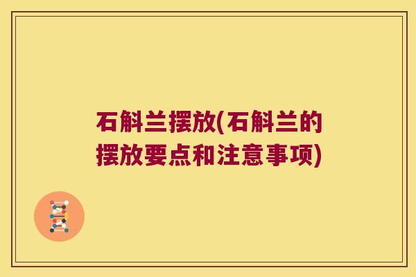 石斛兰摆放(石斛兰的摆放要点和注意事项)