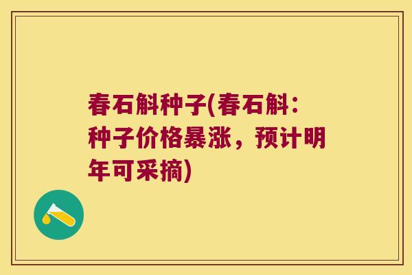 春石斛种子(春石斛：种子价格暴涨，预计明年可采摘)