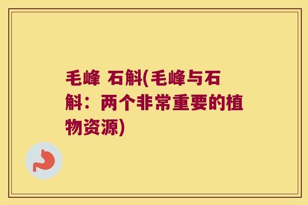 毛峰 石斛(毛峰与石斛：两个非常重要的植物资源)