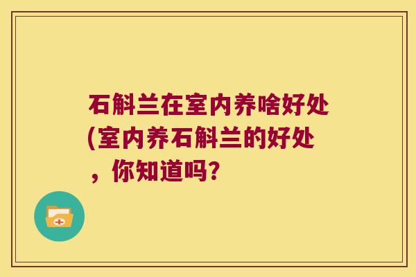 石斛兰在室内养啥好处(室内养石斛兰的好处，你知道吗？