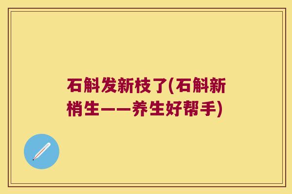 石斛发新枝了(石斛新梢生——养生好帮手)