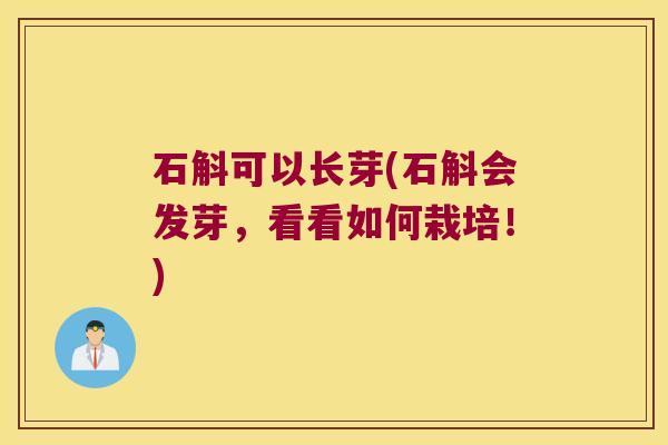 石斛可以长芽(石斛会发芽，看看如何栽培！)