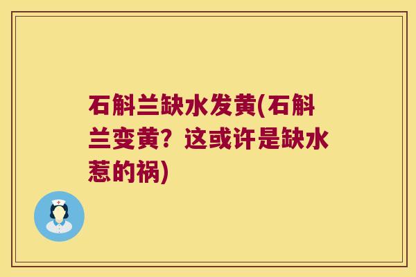 石斛兰缺水发黄(石斛兰变黄？这或许是缺水惹的祸)