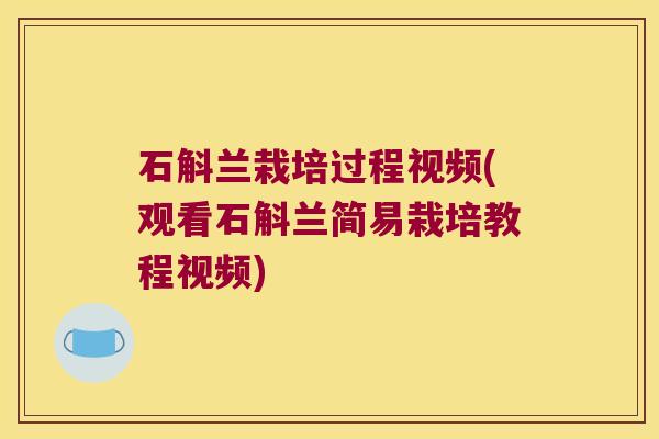 石斛兰栽培过程视频(观看石斛兰简易栽培教程视频)