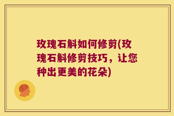 玫瑰石斛如何修剪(玫瑰石斛修剪技巧，让您种出更美的花朵)