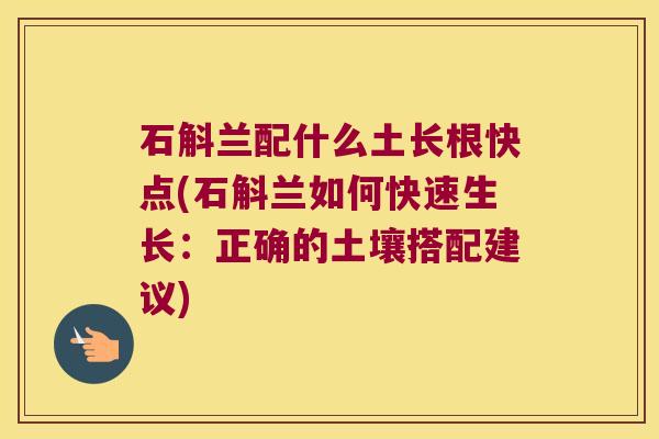 石斛兰配什么土长根快点(石斛兰如何快速生长：正确的土壤搭配建议)