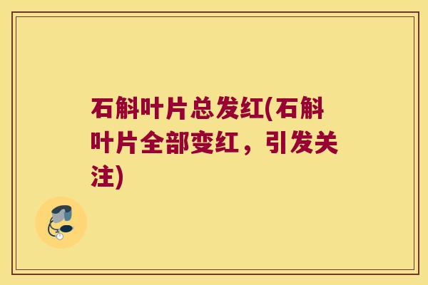 石斛叶片总发红(石斛叶片全部变红，引发关注)