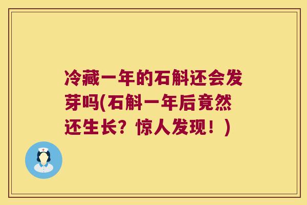 冷藏一年的石斛还会发芽吗(石斛一年后竟然还生长？惊人发现！)