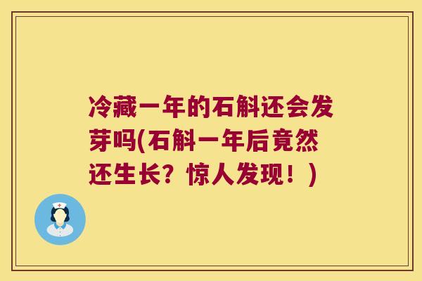 冷藏一年的石斛还会发芽吗(石斛一年后竟然还生长？惊人发现！)