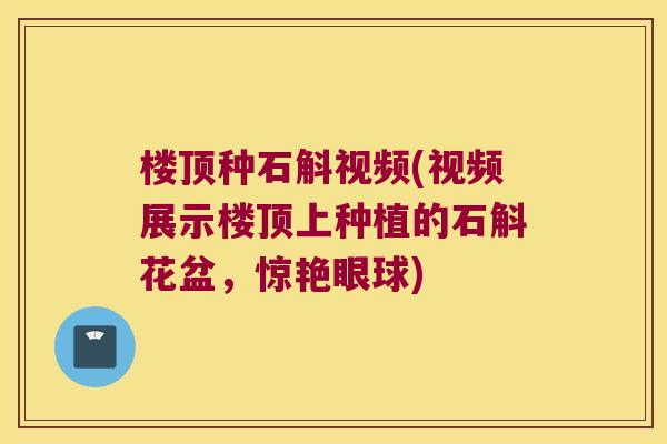 楼顶种石斛视频(视频展示楼顶上种植的石斛花盆，惊艳眼球)