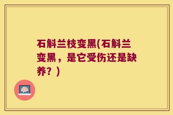 石斛兰枝变黑(石斛兰变黑，是它受伤还是缺养？)