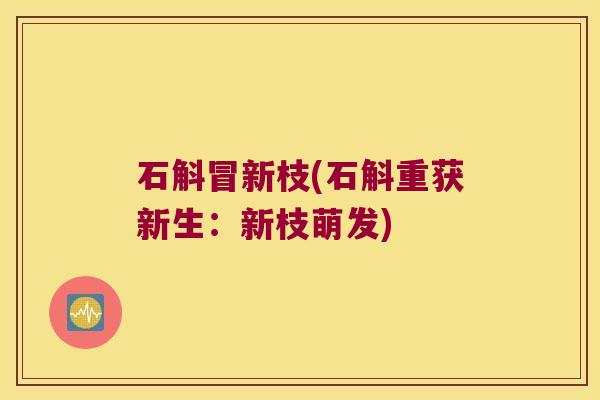 石斛冒新枝(石斛重获新生：新枝萌发)